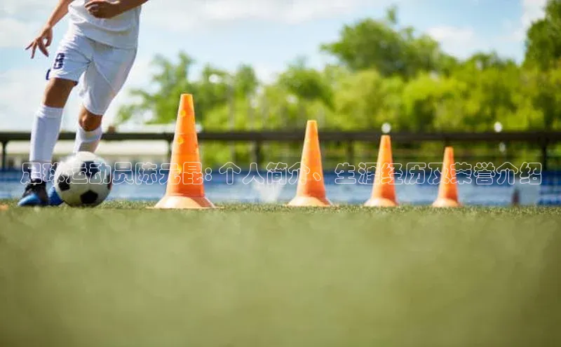 天博克罗地亚官网登录入口百度游戏足球运动员陈元昆: 个人简介、生涯经历及荣誉介绍