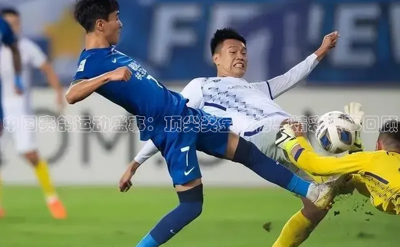 天博.体育登录入口挪威主权基金中国赛鸽运动盛事：顶尖奖金额榜与精彩赛事回顾