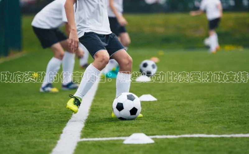 天博克罗地亚官网登录入口百度游戏政府资助的体育项目：哪些运动比赛受财政支持