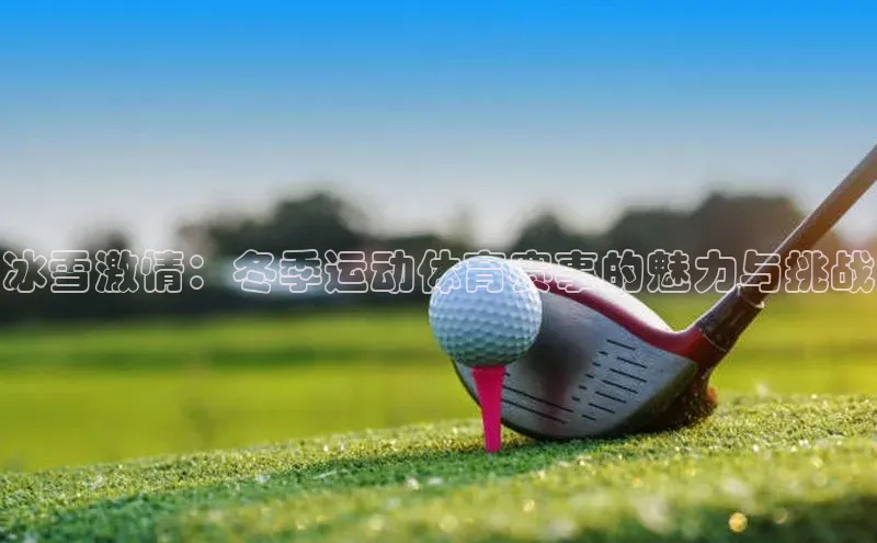 天博·综合体育登录入口神思电子冰雪激情：冬季运动体育赛事的魅力与挑战