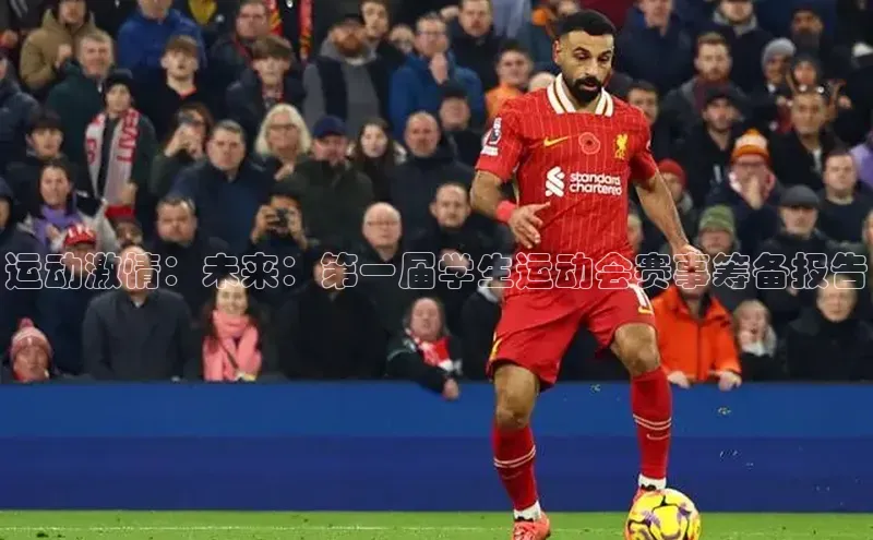 运动激情：未来：第一届学生运动会赛事筹备报告