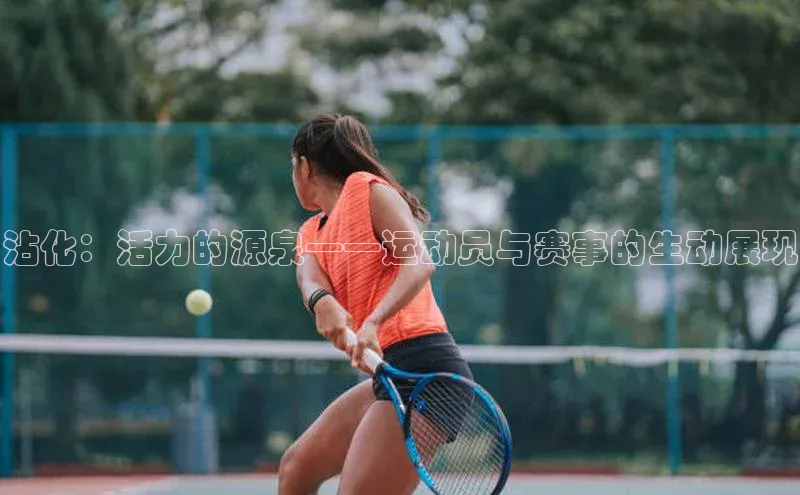 沾化：活力的源泉——运动员与赛事的生动展现