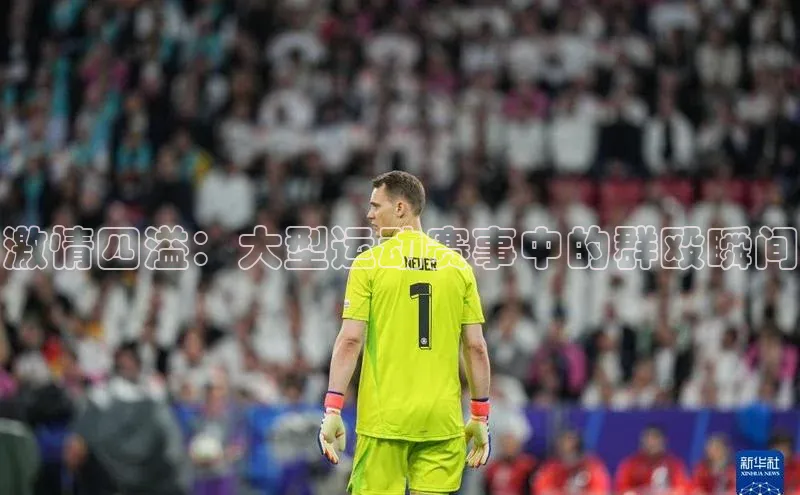 激情四溢：大型运动赛事中的群殴瞬间