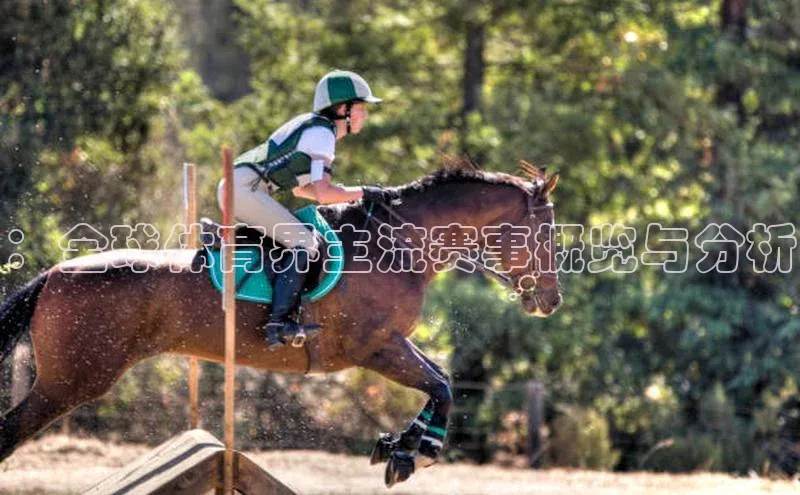 ：全球体育界主流赛事概览与分析