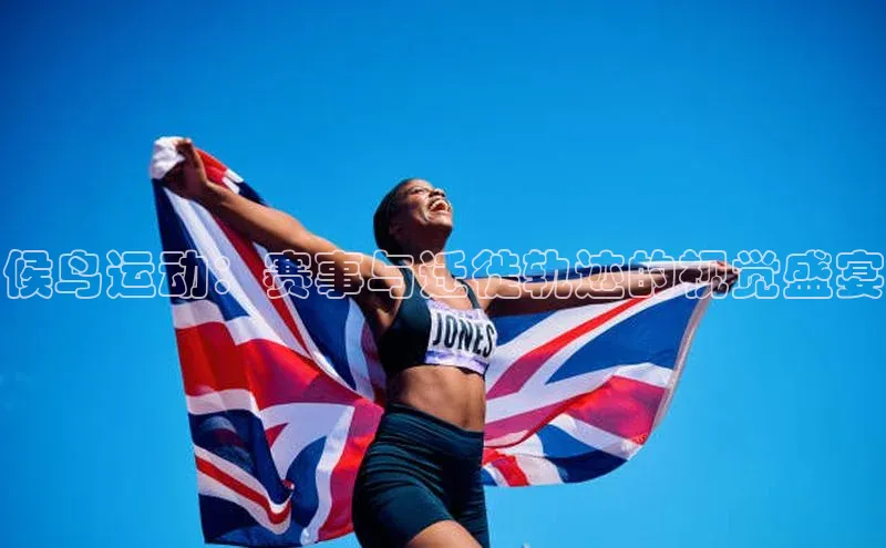 候鸟运动：赛事与迁徙轨迹的视觉盛宴