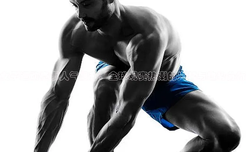 女子运动赛事人气飙升：全球观赛热潮的兴起与趋势分析