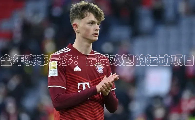 全年赛事最多：最受欢迎的运动项目