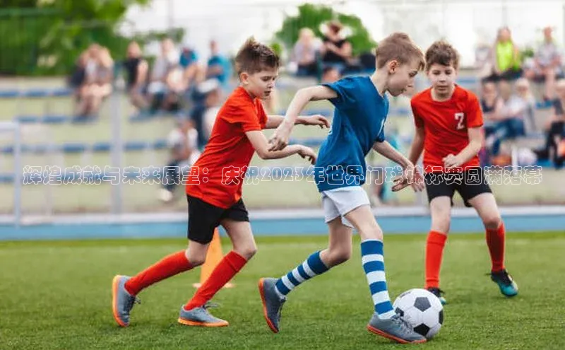 辉煌成就与未来展望：庆祝2023年世界门球锦标赛圆满落幕