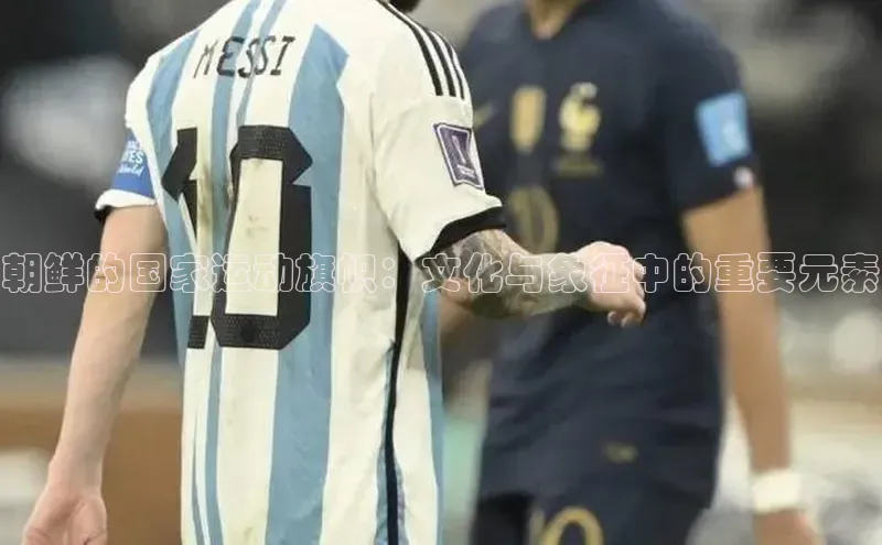 朝鲜的国家运动旗帜：文化与象征中的重要元素