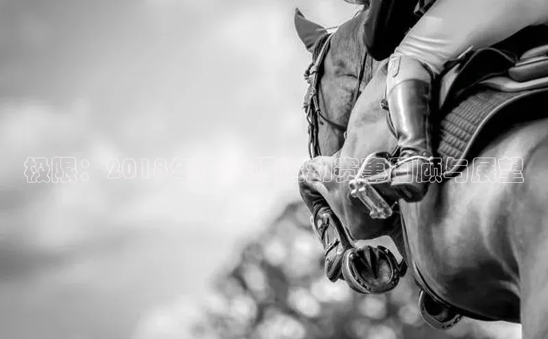 天博Tb综合体育网页版