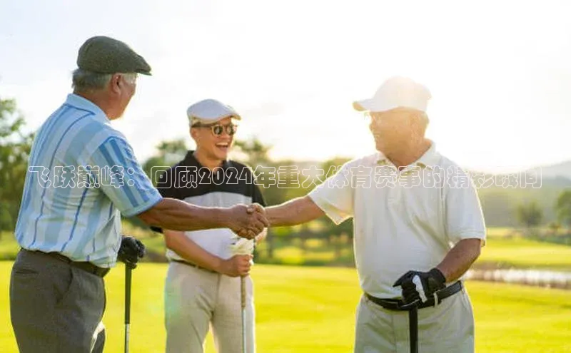 飞跃巅峰：回顾2024年重大体育赛事的精彩瞬间