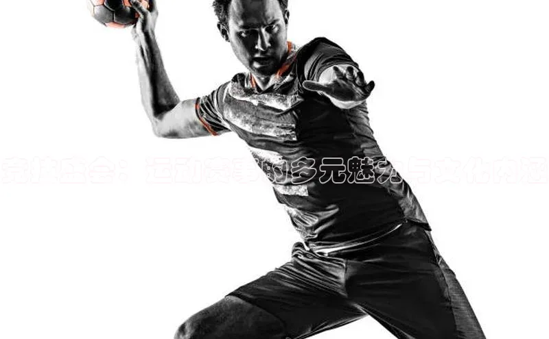 竞技盛会：运动赛事的多元魅力与文化内涵