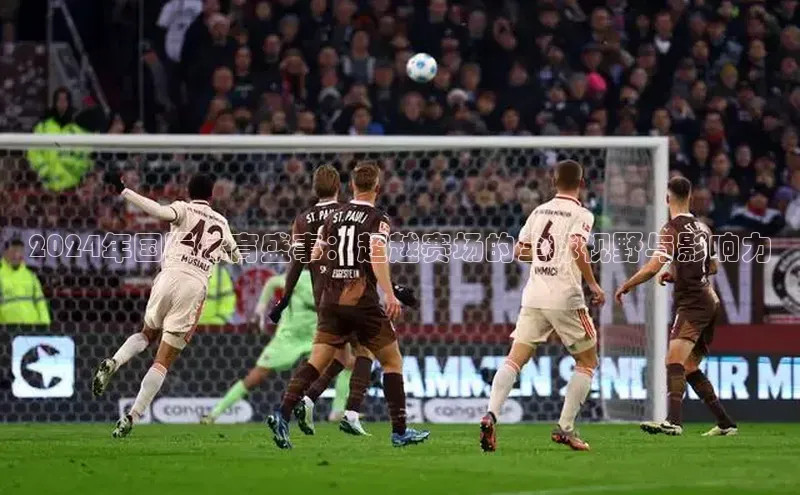 2024年国际体育盛事：超越赛场的全球视野与影响力