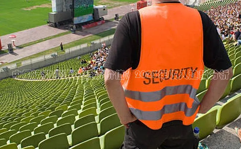 中国运动赛事的经济价值：2023年收入趋势分析