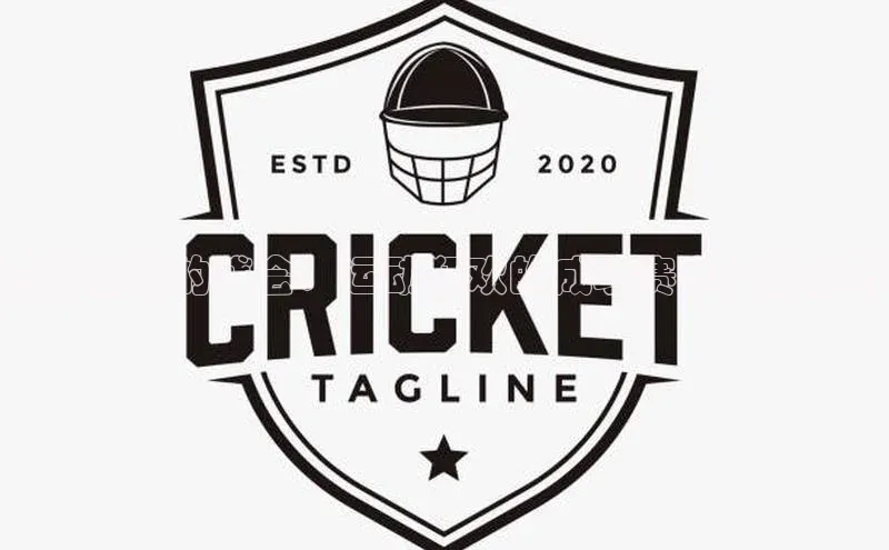 燃烧激情的盛会：运动狂欢的成功赛事案例分析