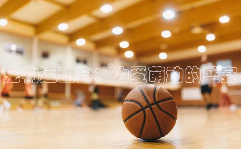 宠物运动会：为爱萌动的盛宴