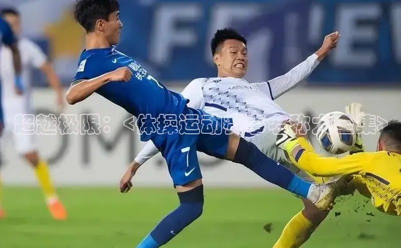 超越极限：<体操运动赛事名称大全集>